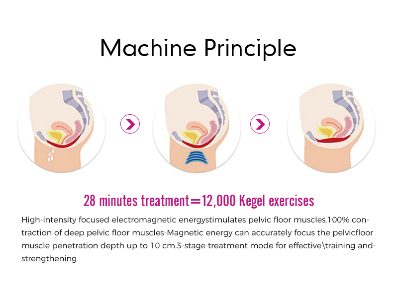 EMS Chair Tesla Private Chair Pelvic Floor Muscle Chair