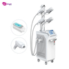 Fat Freeze Cryolipolysis Machine Body Sculpting 4 Cryo Handle Double Chin Removal 