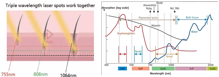 DC423E6B-6F03-4dc4-A432-F5EF165BF6F9